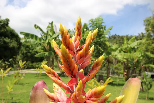 Salto Taino - Rancho Hotel