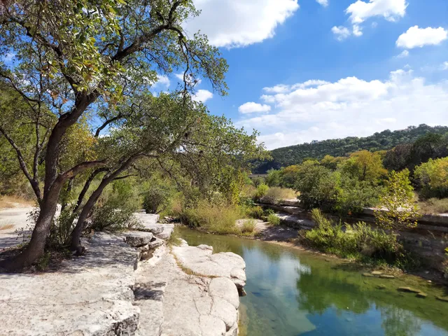 The Bull Creek Preserve