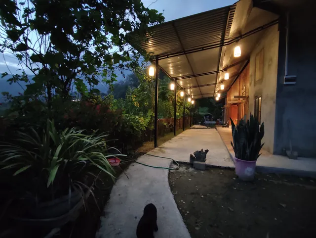 Sapa sunset homestay