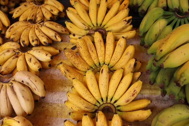 Free markets Antônio Bicudo