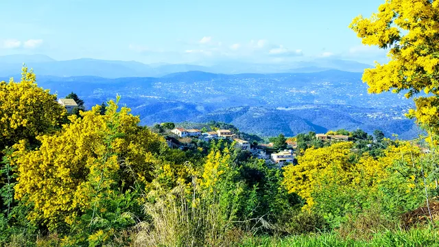 Gîtes Bosi Tanneron