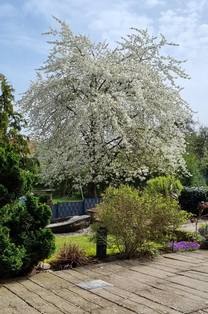 Fewo-lindenstrasse-morbach