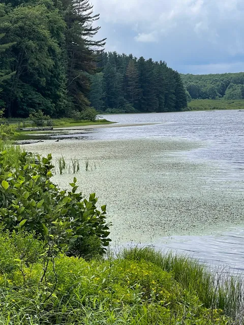 Herrington Manor State Park