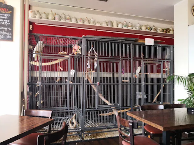 Teestube & Café Schmidt