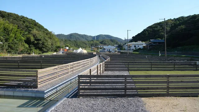 One Tomo Camping Ground