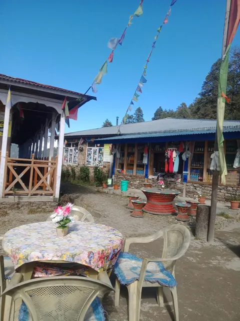 Hotel Green View & Lodge, Mangin Goth, 3285m