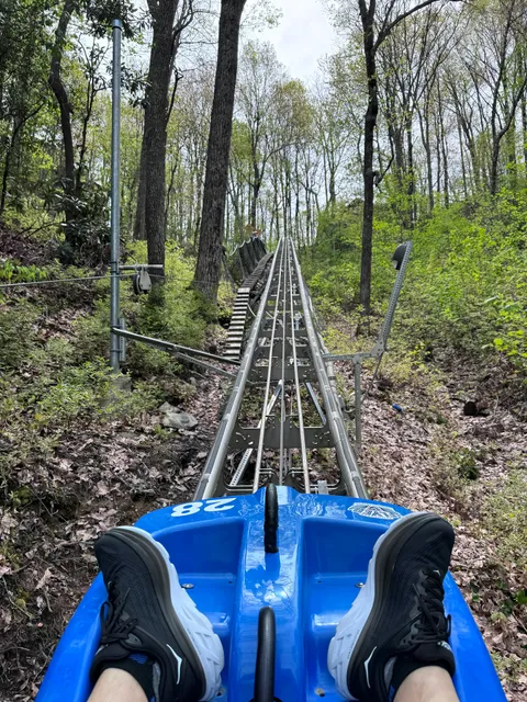 Tennessee Flyer Mountain Coaster