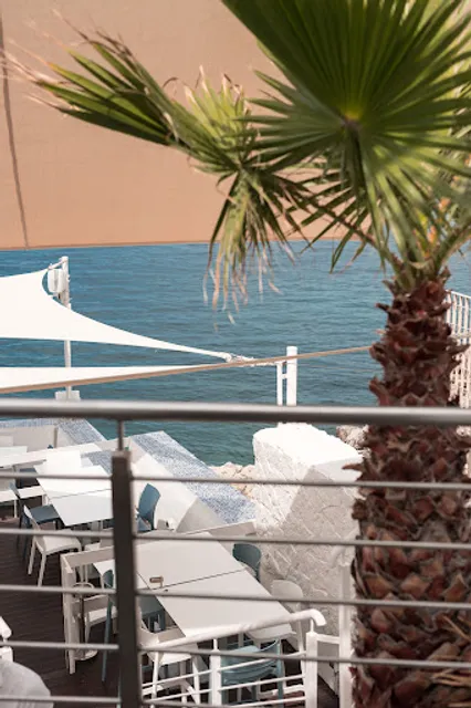 Camarao on the rocks