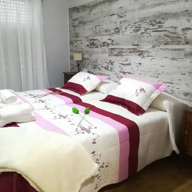 Apartamento rural "El Balcón del Duero 2"