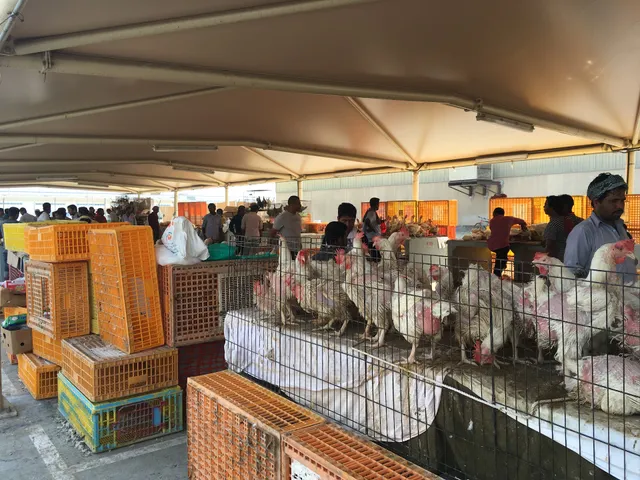 Friday Market - Souk Bazaar Musaffah