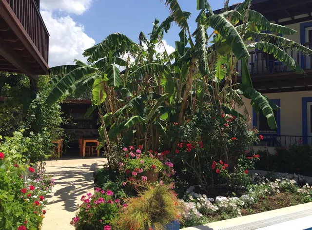 Paradise Garden Apartments