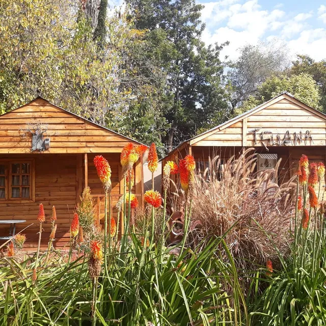 1322 Backpackers International