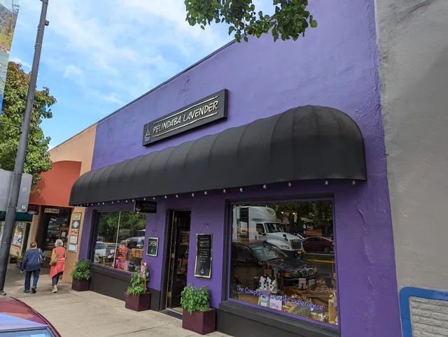 True Lavender Collective