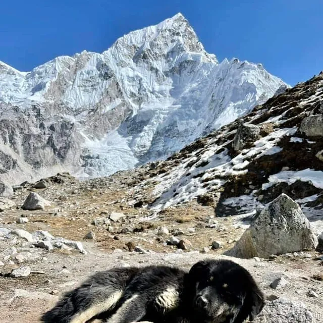 Info Nepal Tours and Treks