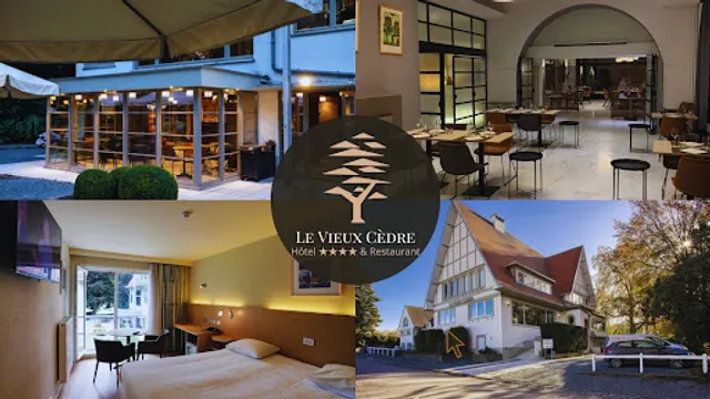 Le Vieux Cèdre (Enghien - Belgique)