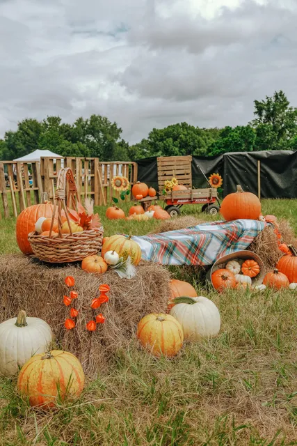Violette Hill Hay Farm