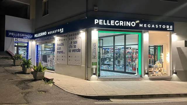 Elettrosuono Pellegrino