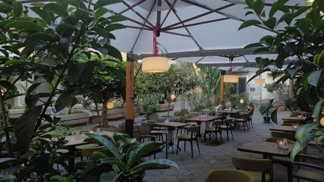 Classico Contemporaneo