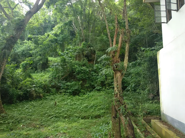 SPOT ON 38199 Hotel Orient