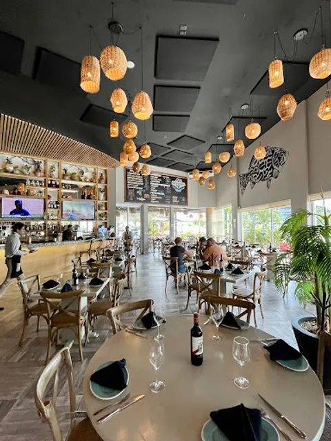 Groupers by Marbella