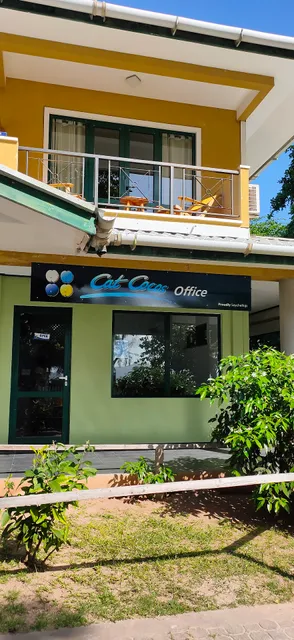 Cat cocos office