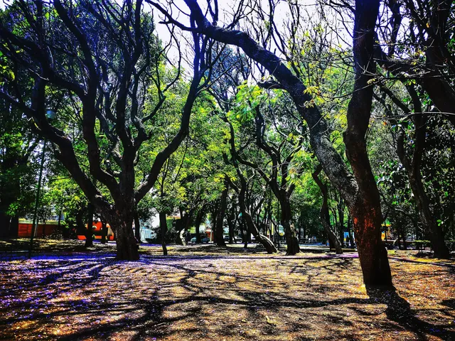 Cerro del Chapulín Park