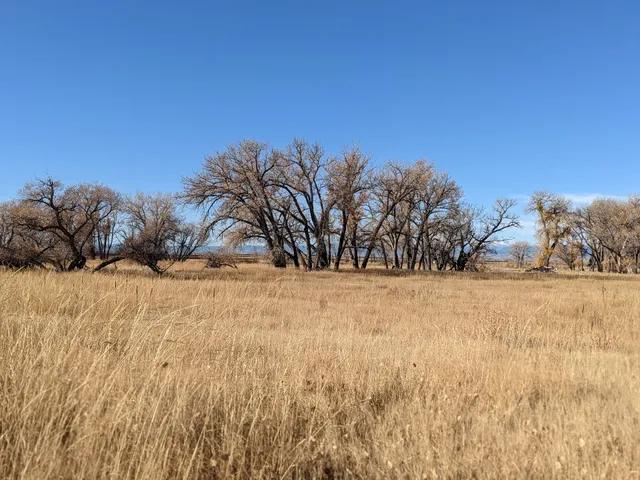 First Creek at DEN Open Space