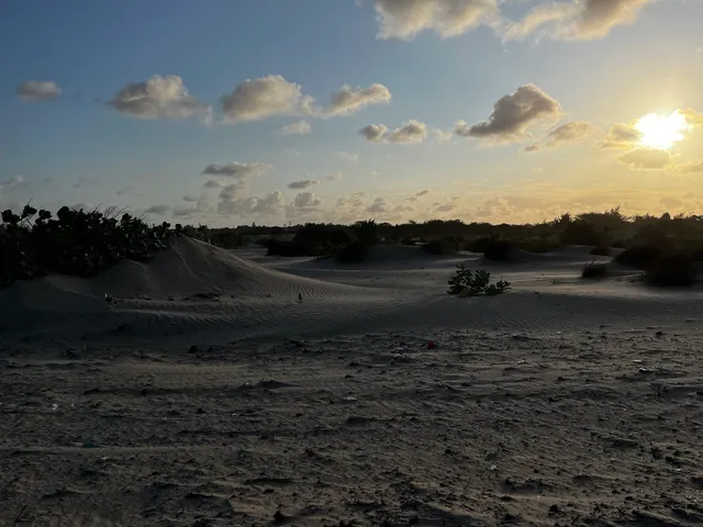 Ocean Beach Sand Dunes
