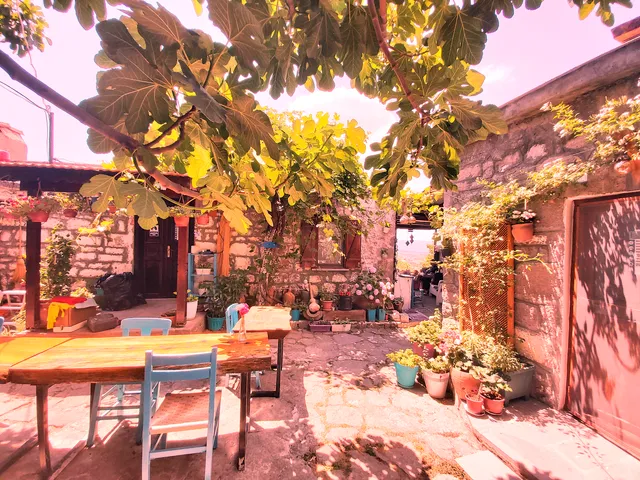 Dut Ağacı Pansiyon