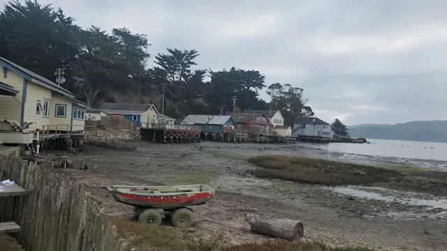 Hog Island Oyster Farm