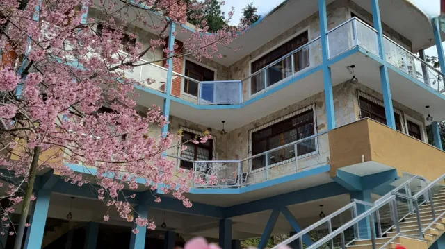 A Casa Terê - Hospitalidade Afetiva