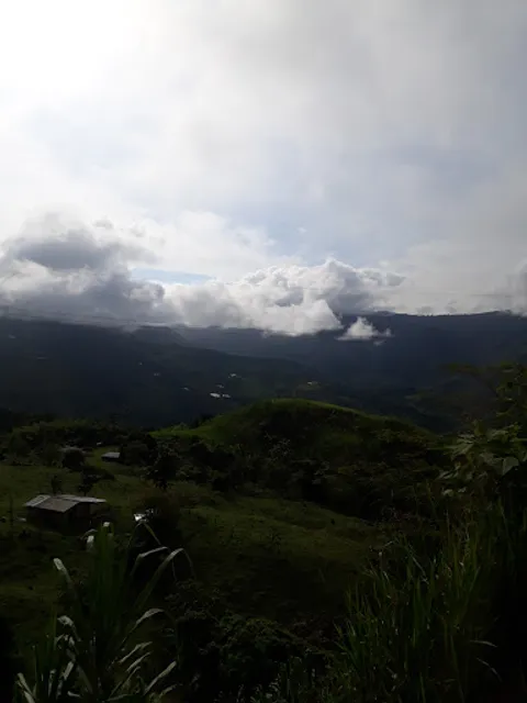 Restaurante Buena Vista