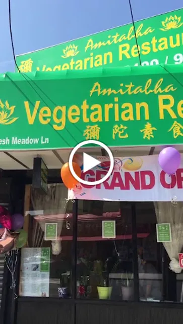 CAREYOU FOUNDATION INC (Used to Amitabha Vegan)