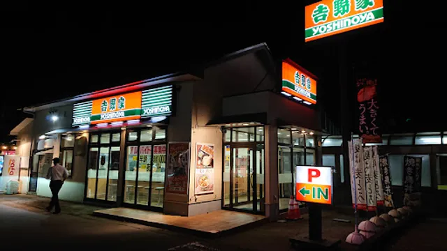 Yoshinoya R141 Sakudaira shop