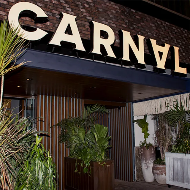 Carnal - Insurgentes