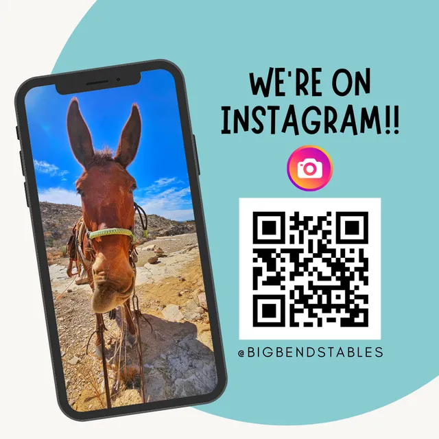 Big Bend Stables