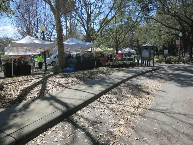 Maitland Farmer's Market