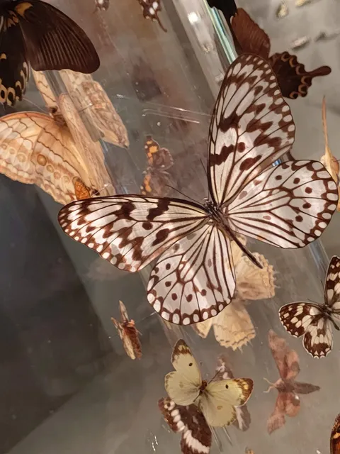 Science Theatre and Planetarium