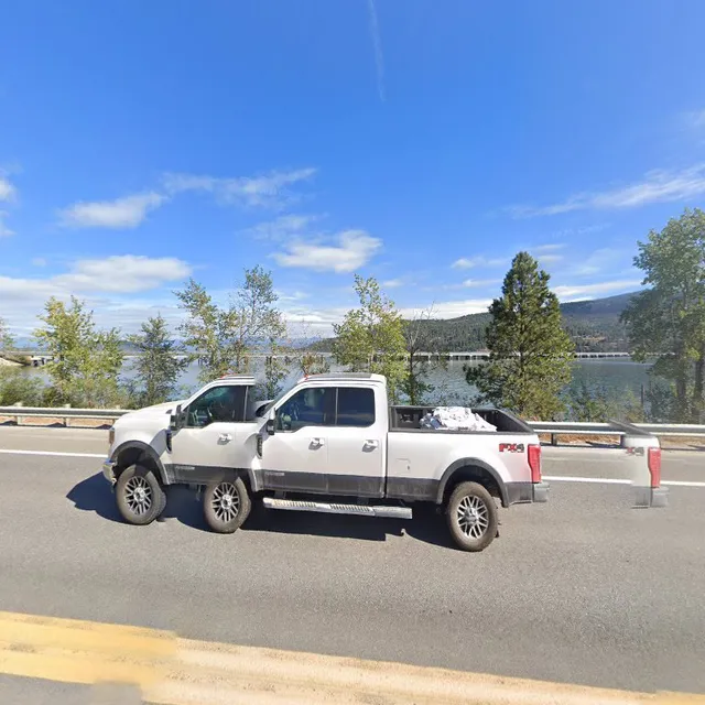 Dog beach winter walk