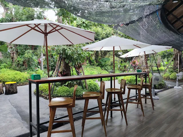 Lost in the Forest Cafe