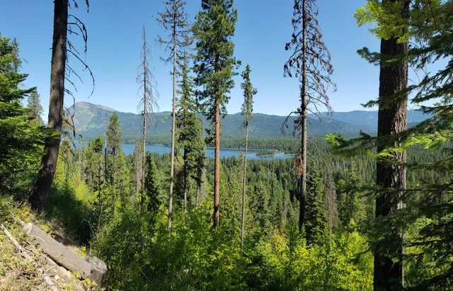 Nason Ridge Trailhead