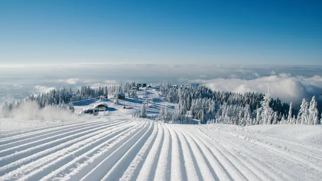 Grouse Mountain