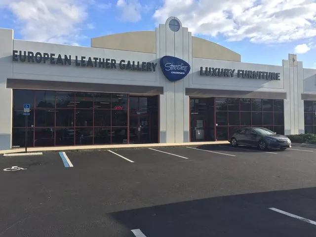 European Leather Gallery