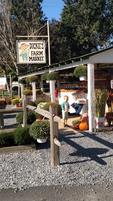 Duckies Farm Market