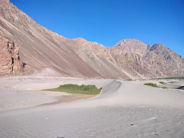 Nubra Valley Sand Dunes