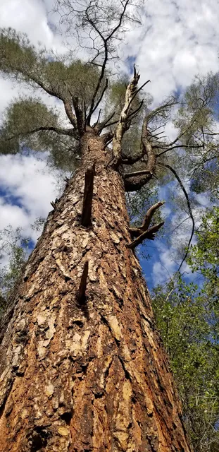 Parkshore Trailhead Parking Lot