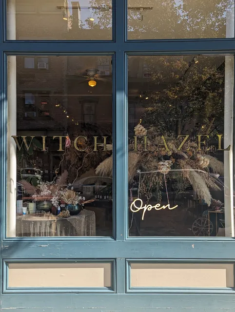 Witch Hazel