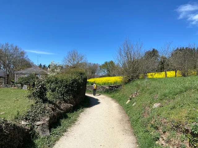 Camino de Santiago20