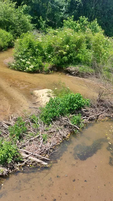 Wake Forest Greenway - Sanford Creek