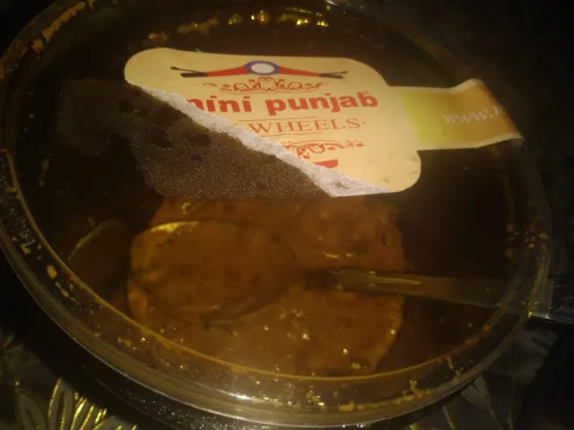 Mini Punjab On Wheels